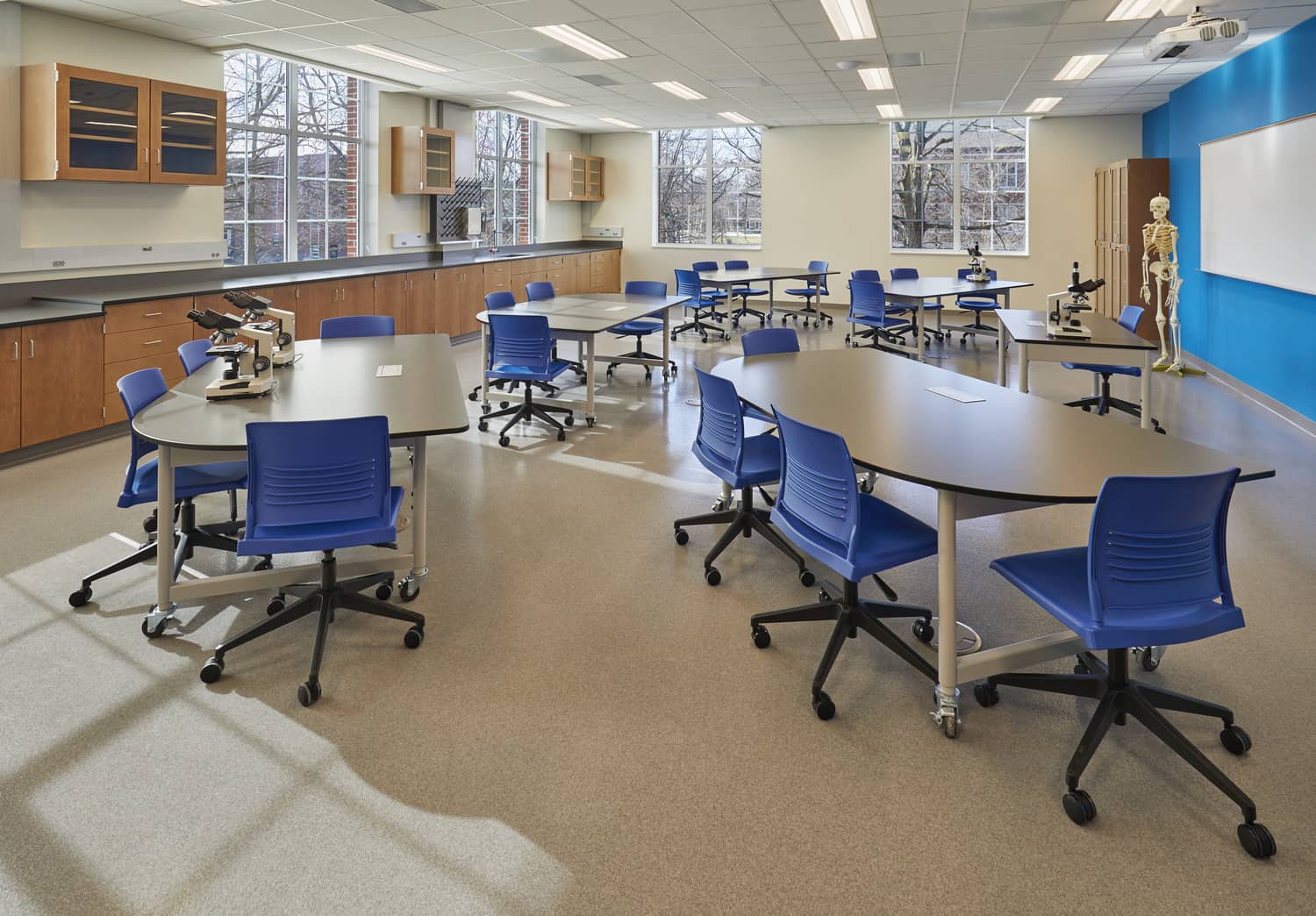 Modern classroom or collaborative workspace in Barnes Science Hall featuring half-round tables with blue office chairs on wheels arranged throughout a bright space with brown floors. There is a bright blue focal wall with a white board and a human skeleton on display near an instructor's desk. The back of the room has a wall of warm wooden cabinets. The room has recessed lighting and a clean, contemporary educational environment design.