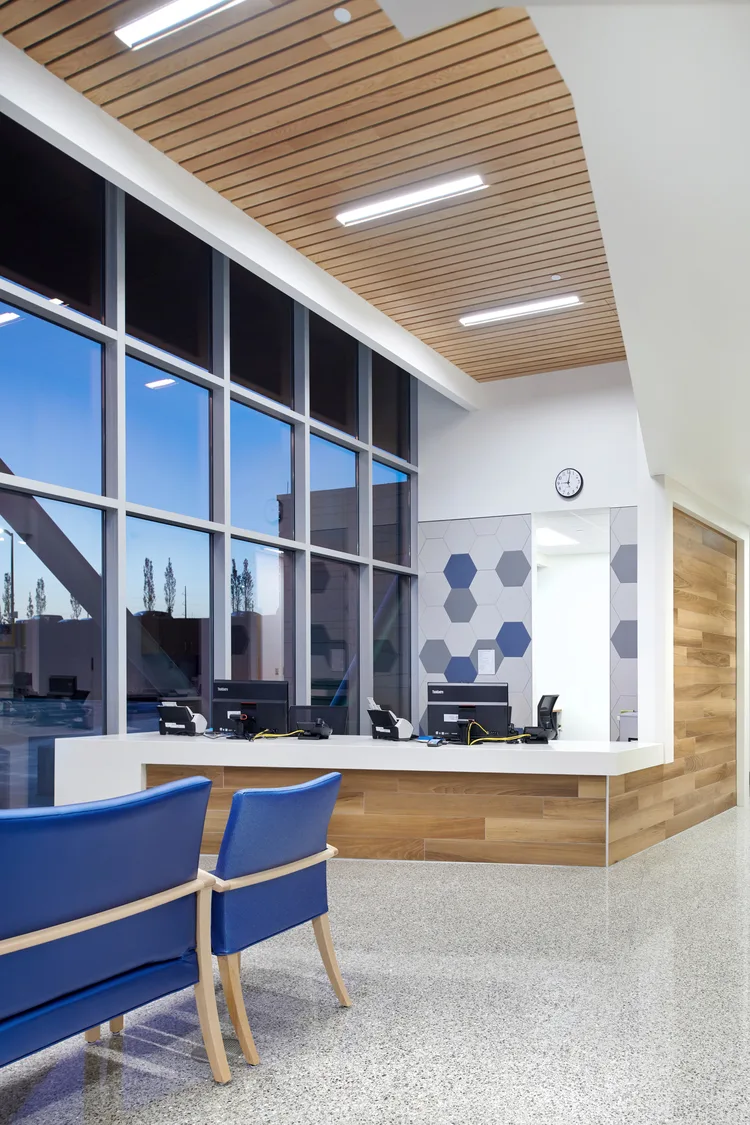 The interior lobby of a sports training and rehabilitation facility complemented with modern accents. The reception desk is wrapped in warm wood and the same wood is featured on the ceiling with strip lighting fixtures. Blue, white, and grey hexagons create a decorative mural behind the reception desk, which can be found represented in the rest of the facility. This photo demonstrates BSA's expertise in architecture, engineering, and designing Sports Medicine facilities.